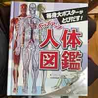 ポップアップ人体図鑑 : 等身大ポスターがとびだす! Amazon.co.jp: ポップアップ人体図鑑 : 等身大ポスターが